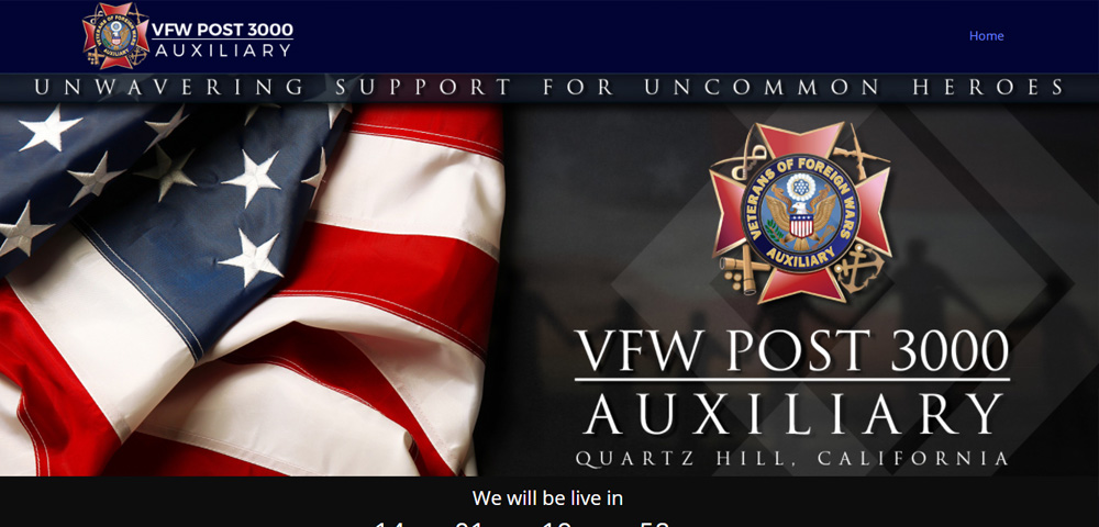 VFW 3000 Auxiliary 
