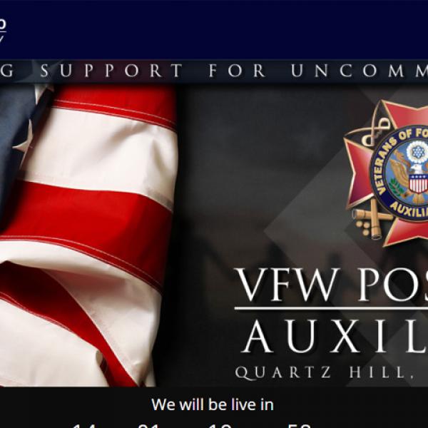 VFW 3000 Auxiliary 